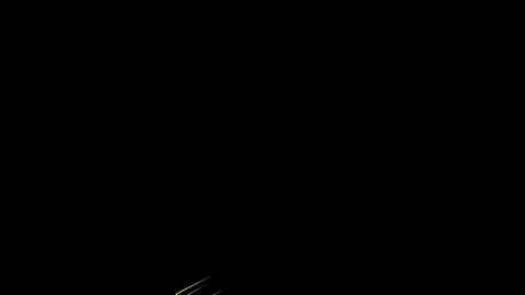 Painted a beautiful heart on black background Stock Footage 81024232