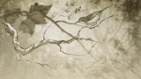 The painted bird on a branch, Park Stock Footage 53899130
