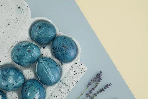 Painted blue easter eggs in egg carton on yellow-blue background with copy space Stock Photos