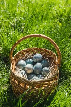 Painted blue textured easter eggs in wicker brown hand made basket. The concept Stock Photos