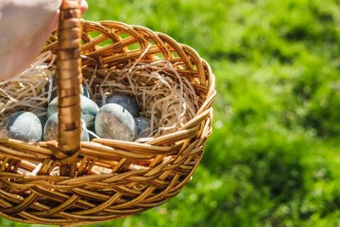 Painted blue textured easter eggs in wicker brown hand made basket. The concept Stock Photos