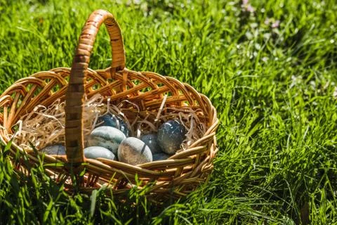 Painted blue textured easter eggs in wicker brown hand made basket. The concept Stock Photos