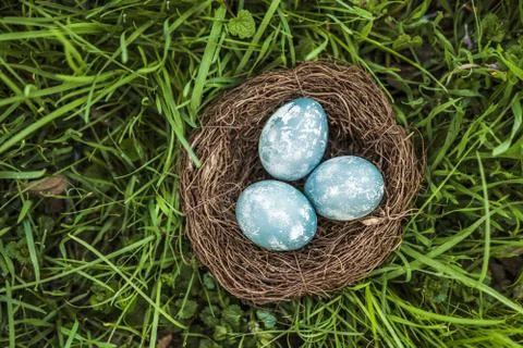 Painted blue textured easter eggs in a brown nest lies in green fresh grass. The Stock Photos