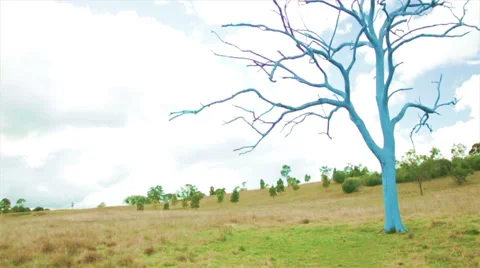Painted Blue Tree in Green Field Stock Footage 42476408