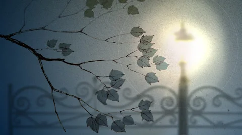 Painted branch animation Stock Footage 53896638