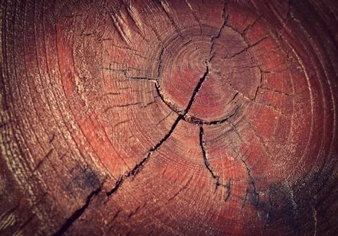 Painted brown paint split stump Stock Photos