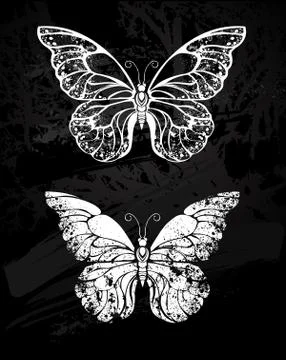 Painted with chalk Butterfly morpho Stock Illustration