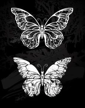 Painted with chalk Butterfly morpho Stock Illustration