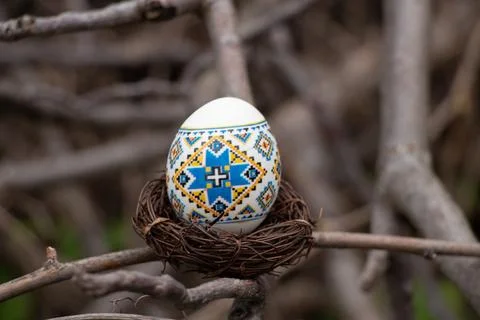 Painted chicken egg in a straw basket on tree branches in Ukraine, Easter hol Stock Photos