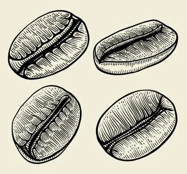 Painted coffee beans Illustrazione stock