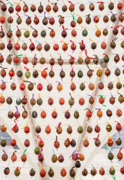 Painted colorful easter eggs Stock Photos