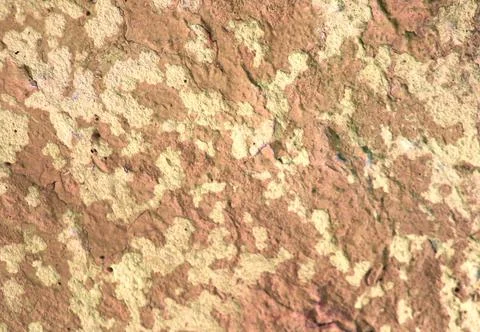 Painted concrete wall texture. grunge background for your design Stock Illustration
