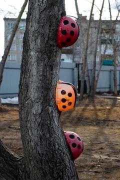 Painted construction helmets in ladybug and hung on poplar Stock Photos