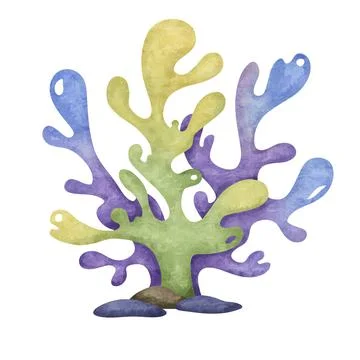Painted corals, algae, reefs. Underwater nautical style. Stock Illustration