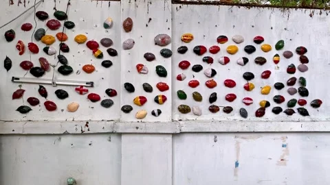 Painted Crab Shells On A Wall, Fort Kochi, India - 26 Apr 2019 Stock Footage 296776459