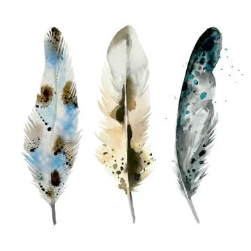 Painted decor elements for boho style design. Feather collection. Design for a Illustrazione stock