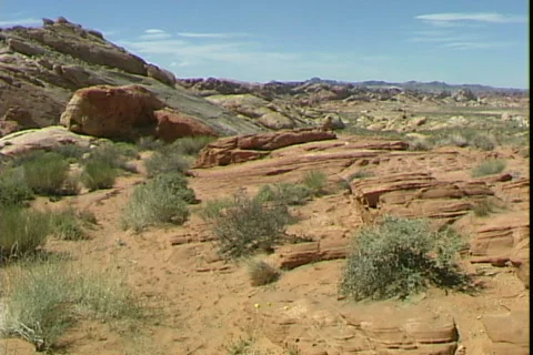 Painted Desert Видео 819377