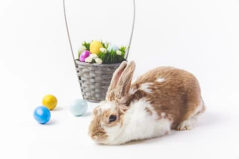 Painted different colors easter eggs Stock Photos