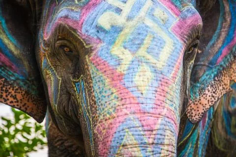 Painted with different colors elephant Stock Photos
