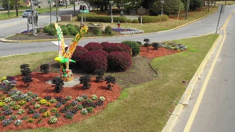 Painted Eagle Vídeo Stock 104228704