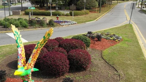 Painted Eagle Reveal Vídeo Stock 104268894