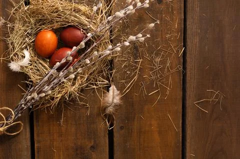 Painted Easter chicken eggs in a nest and willow branches. Holiday Easter Stock Photos