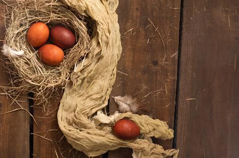 Painted Easter chicken eggs in a nest. Holiday Easter concept background. Copy Stock Photos