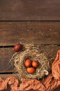 Painted Easter chicken eggs in a nest. Holiday Easter concept background. Copy Stock Photos