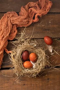 Painted Easter chicken eggs in a nest. Holiday Easter concept background. Copy Stock Photos