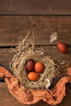 Painted Easter chicken eggs in a nest. Holiday Easter concept background. Copy Stock Photos