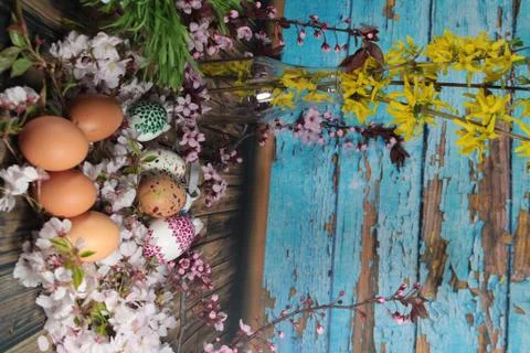 Painted Easter egg with cherry branch Stock Photos