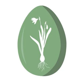 Painted Easter egg decorated with white snowdrop silhouette. Vector illustration Stock Illustration