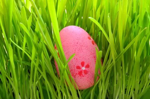 Painted Easter egg in a green grass on a meadow. Foto stock
