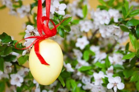 A painted Easter egg hung on a red ribbon on a branch of blossoms Stock Photos