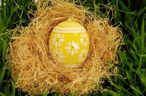 Painted easter egg in nest Stock Photos