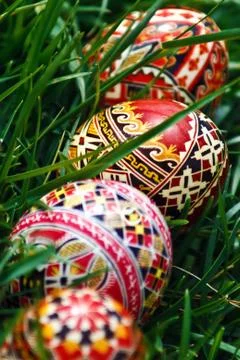 Painted Easter eggs 19 Stock Photos