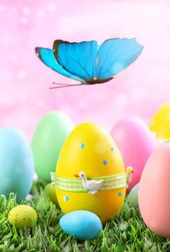 Painted Easter eggs and a butterfly. Stock Photos