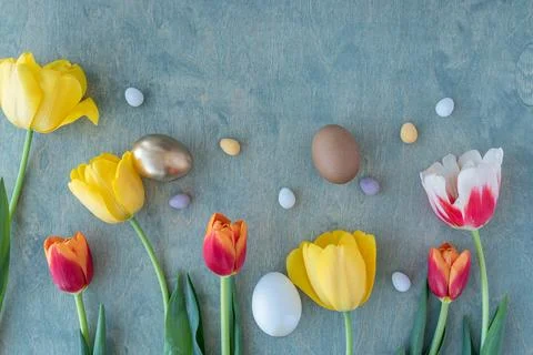 Painted easter eggs and chocolate eggs next to yellow and red and white tul.. Stock Photos