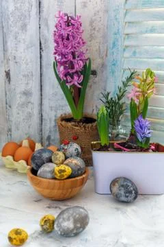 Painted Easter eggs and colorful hyacinths. Stock Photos