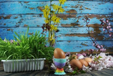 Painted Easter eggs and grass with cherry branch Stock Photos