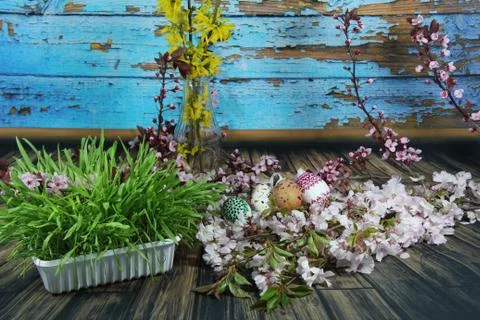 Painted Easter eggs and grass with cherry branch Stock Photos