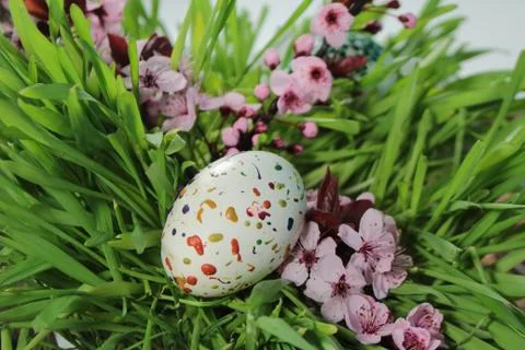 Painted Easter eggs and grass with cherry branch Stock Photos