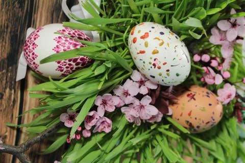 Painted Easter eggs and grass with cherry branch Stock Photos