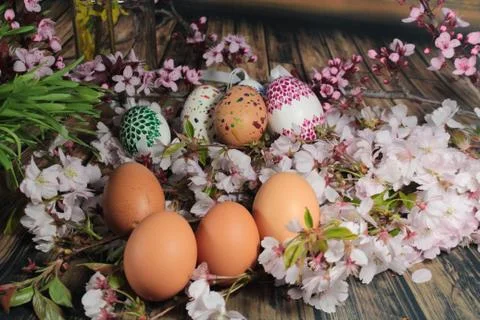 Painted Easter eggs and grass with cherry branch Stock Photos