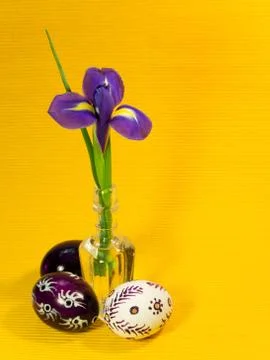 Painted easter eggs and iris Stock Photos