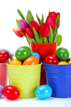 Painted easter eggs and tulips Stock Photos