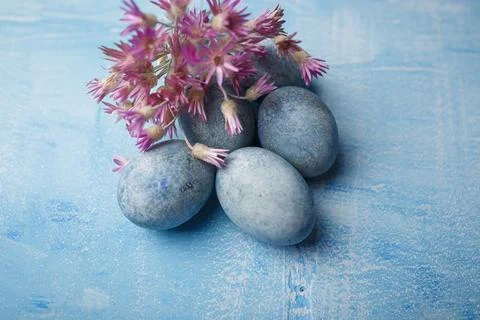 Painted Easter eggs on blue background with purple flowers. Spring holiday Stock Photos
