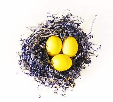 Painted Easter eggs in blue paper bird nest on white Stock Photos
