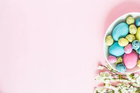 Painted easter eggs, floral branches, nest lying on pink background Stock-Fotos