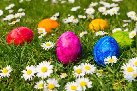 Painted easter eggs in grass with daisies Stock Photos